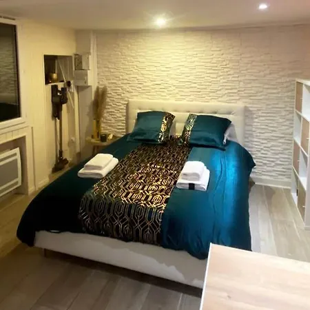 Le Cocon Dore, Hyper Centre De Apartman *