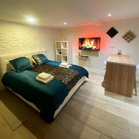 Apartamento Le Cocon Dore, Hyper Centre De Toulouse