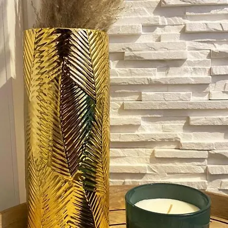 Le Cocon Dore, Hyper Centre De Daire Toulouse