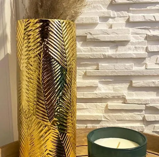 Le Cocon Dore, Hyper Centre De Апартаменты Тулуза