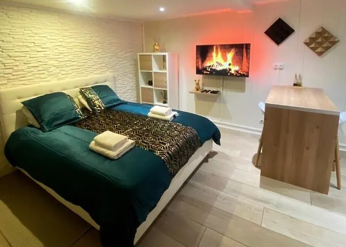 Appartement Le Cocon Dore, Hyper Centre De Toulouse