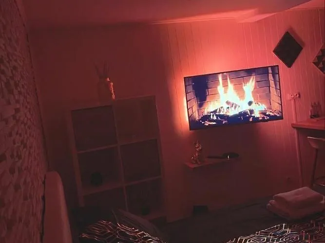 Appartement Le Cocon Dore, Hyper Centre De *