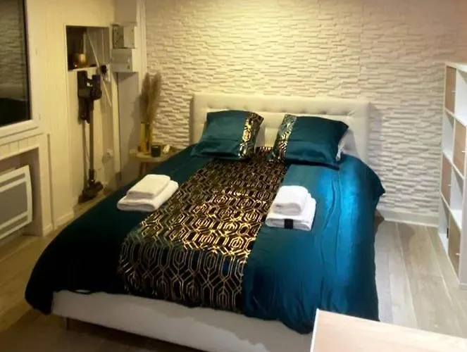 Le Cocon Dore, Hyper Centre De Appartement *